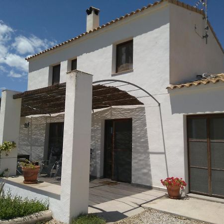 Mas Dels Bonos Guest House Deltebre Bagian luar foto
