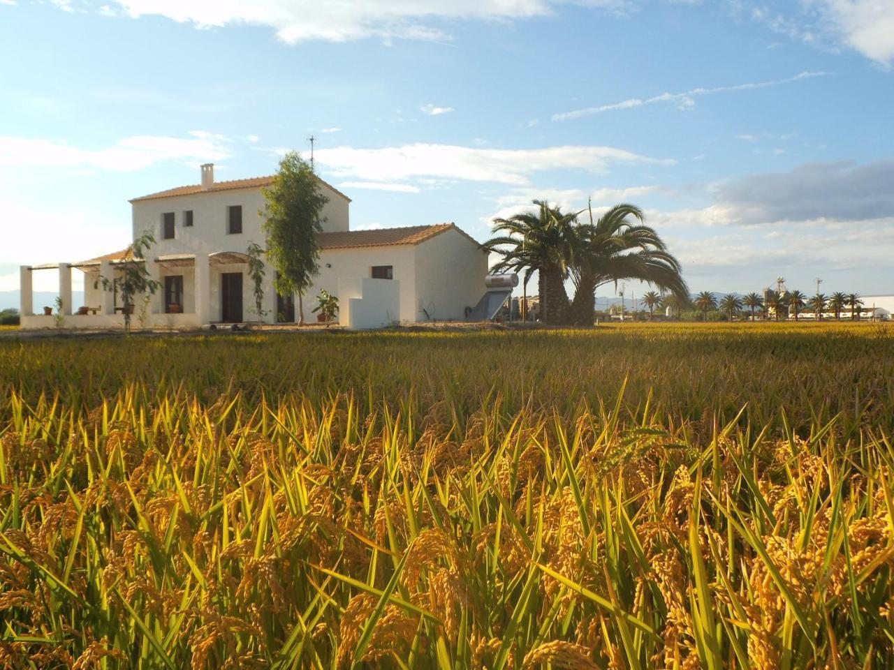 Mas Dels Bonos Guest House Deltebre Bagian luar foto